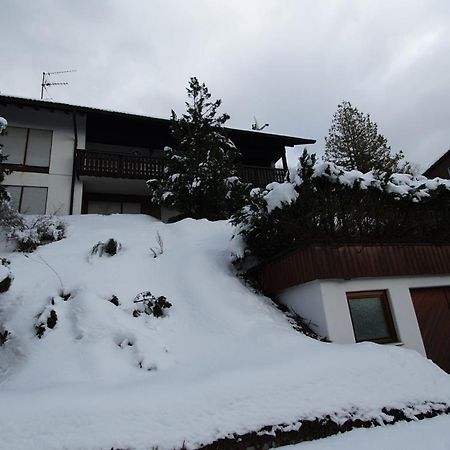 Haus Panorama Mit Alpenblick Villa Kleines Wiesental Buitenkant foto