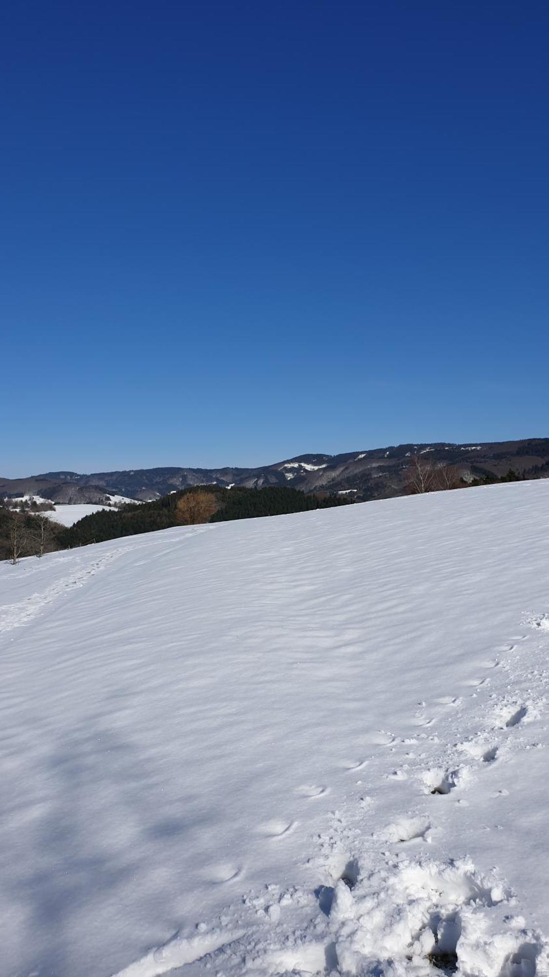 Haus Panorama Mit Alpenblick Villa Kleines Wiesental Buitenkant foto