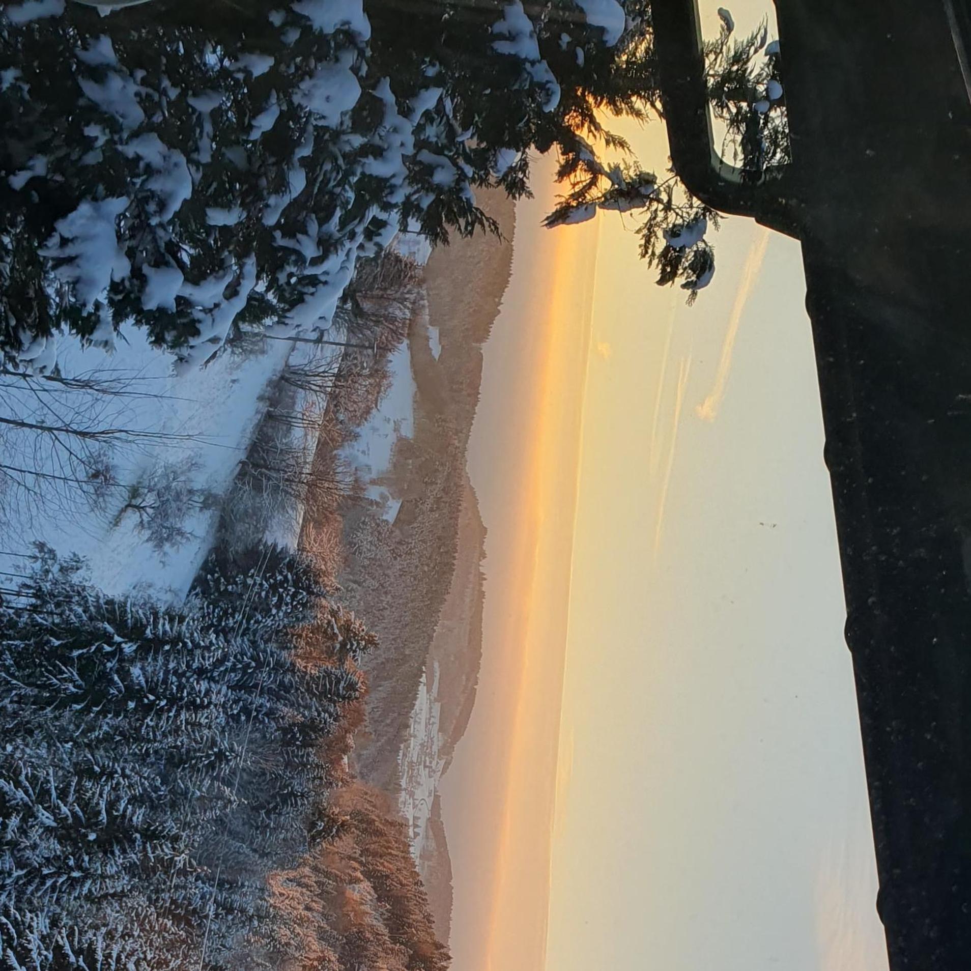 Haus Panorama Mit Alpenblick Villa Kleines Wiesental Buitenkant foto